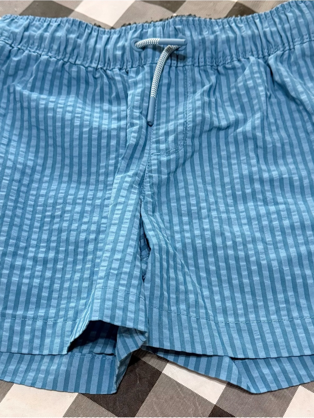 art class Blue Striped Swim Trunks